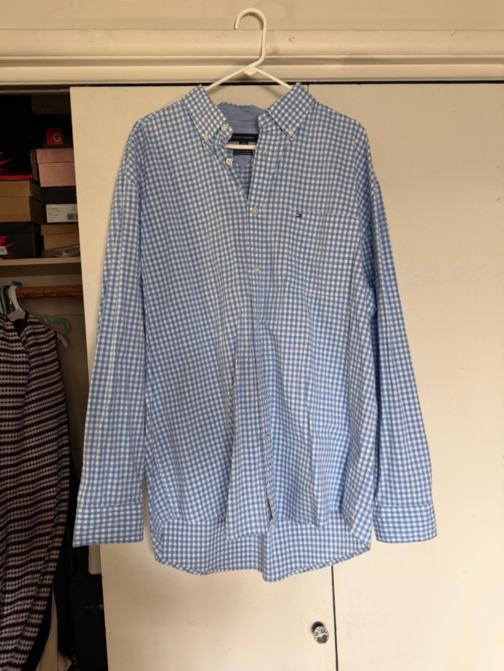 Tommy Hilfiger Blue and White Gingham Button-Down Shirt